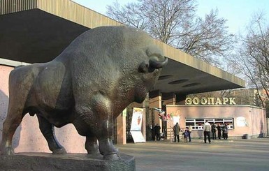В Киеве зоопарк начнет работать по-новому