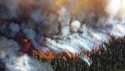 В Сибири горят три миллиона гектаров леса 