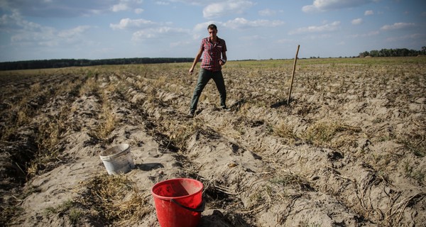 Ночная VIP-охота на воровок