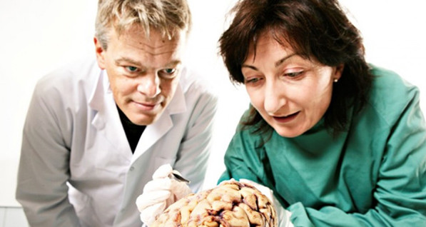 Нобелевка по медицине присуждена за открытие внутреннего компаса в мозге