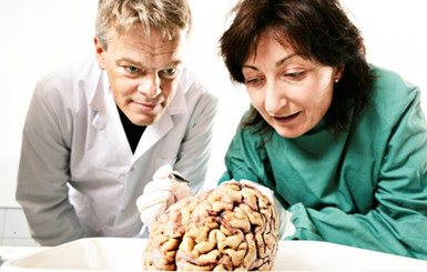 Нобелевка по медицине присуждена за открытие внутреннего компаса в мозге