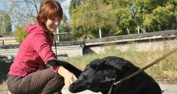 Днепропетровские волонтеры ищут хозяина для слепого пса