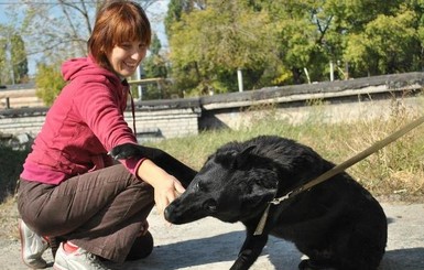 Днепропетровские волонтеры ищут хозяина для слепого пса