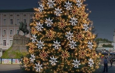 На Новый год в Киеве установят 20-метровую елку из Ивано-Франковской области