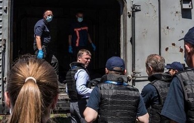 В Голландии опознали тела еще 6 жертв 