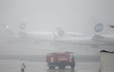 Следователи назвали четыре версии крушения самолета во Внуково
