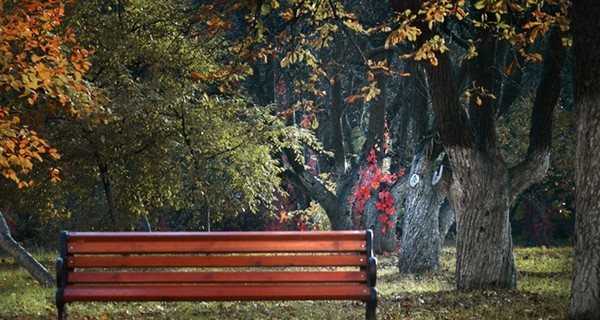 6 самых красивых мест в Киеве для осенних прогулок и фотосессий