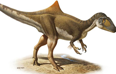 Ученые: 70 миллионов лет назад на Земле жил странный горбатый динозавр