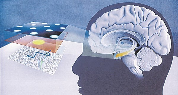 Открытие лауреатов Нобелевки поможет создать протез мозга