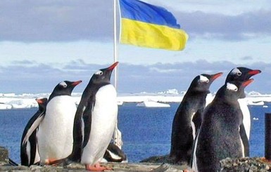 В Антарктиде проголосовали 12 украинских полярников