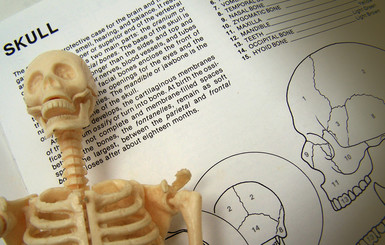 В румынской школе ученики изучают анатомию по скелету бывшего директора