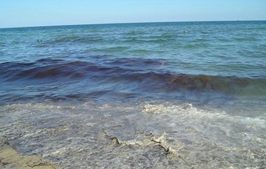 В Черном море осталось лишь три вида рыб