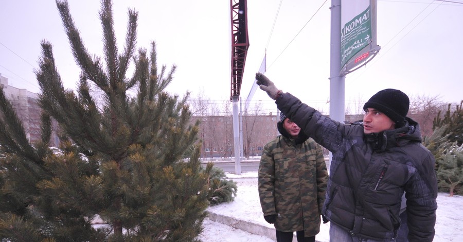 Донецких детей оставят без новогодних елок?