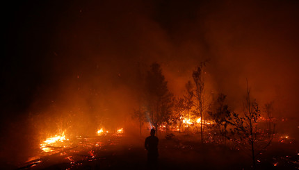 50 тысяч гектаров в огне: Индонезию охватили лесные пожары