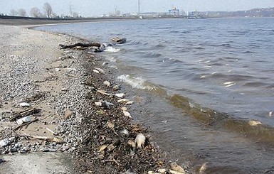 Киевское море будут спасать 100 000 рыб