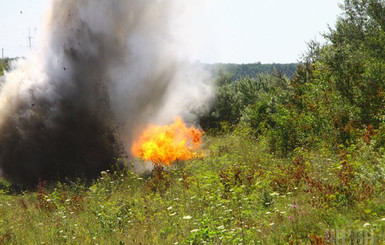 На Луганщине женщина погибла из-за мины на своем огороде