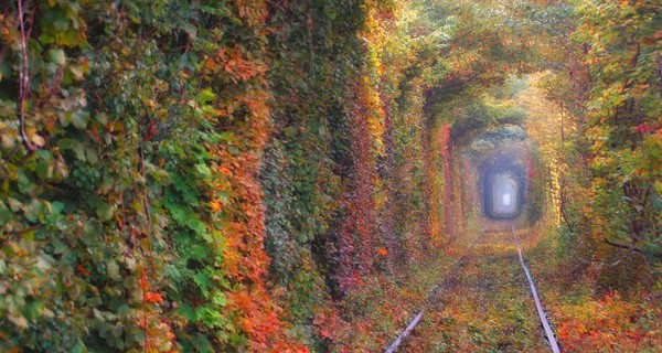 В ровенском 