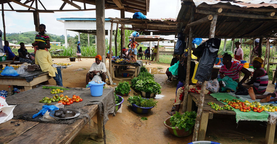 Из-за Эболы западная Африка оказалась на грани продовольственного кризиса