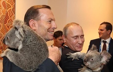 Путин, Обама и Меркель сфотографировались с коалой