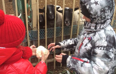 В Луганске местные жители помогают зоопарку печеньем с паштетом