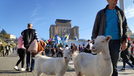 Козы на Майдане и дымовые шашки: самые яркие фото с марша националистов и ветеранов