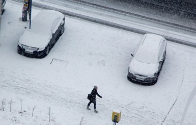 Киевлян порадовал первый снег