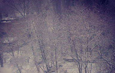 Киевляне о первом снеге: 