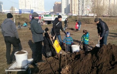 В Киеве на месте скандальной стройки высадили деревья