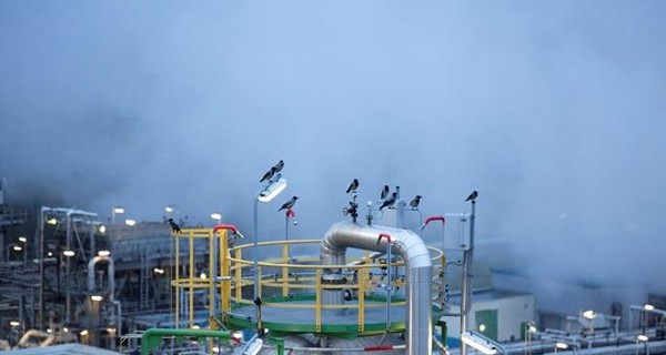 Нефть и рубль могут встретиться на отметке 56