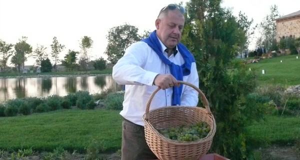 В Одесской области собрали рекордный урожай зерна и винограда
