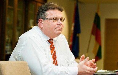 Глава МИД Литвы: Украина должна юридически признать 