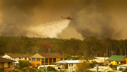 Лесные пожары в Австралии 