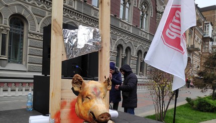 Под стенами НБУ появилась мертвая свинья и протестующие