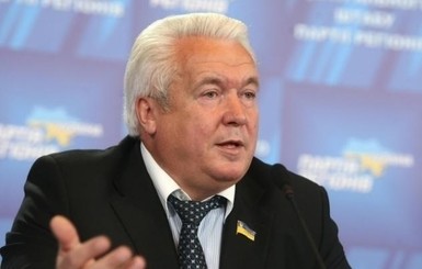 Олейник: Саакашвили собрался поучать украинцев, а сам не знает законов Грузии
