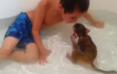 Пользователей Интернета покорили обезьянка и ребенок, которые обожают плавать вместе