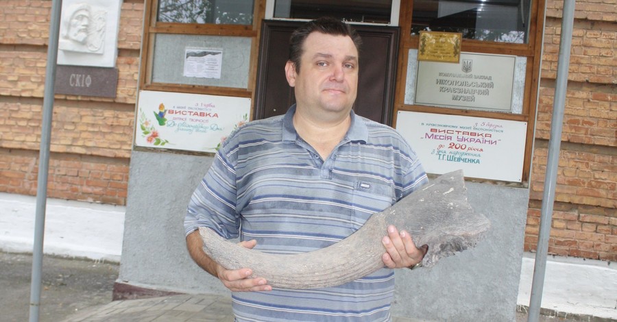 Под Никополем мужчина нашел на рельсах уникальный доисторический зуб акулы