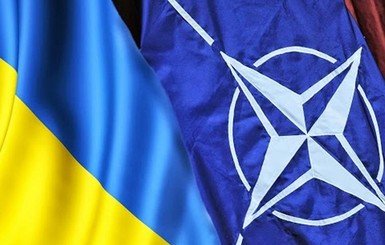Украинских сержантов будут готовить советники НАТО