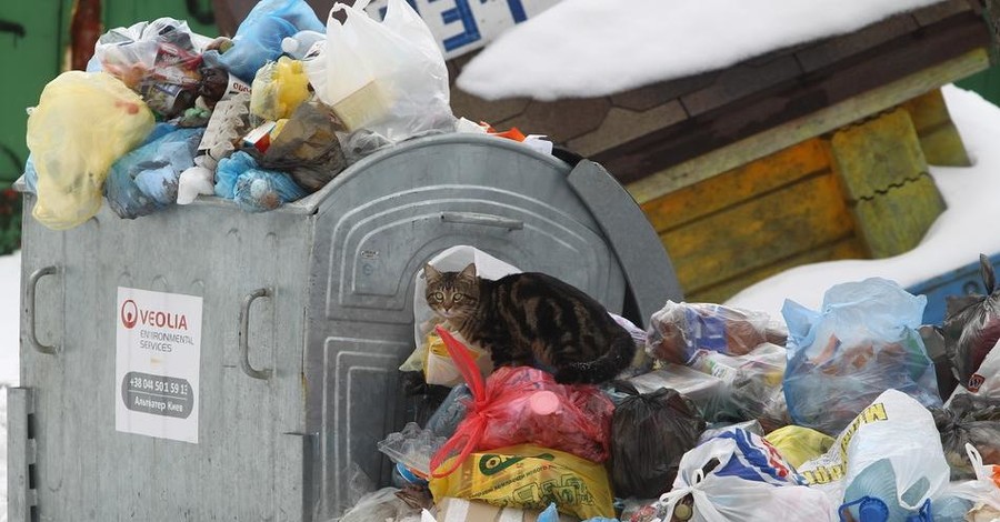Что можно найти в мусорках Киева и когда в столице наступит конец света