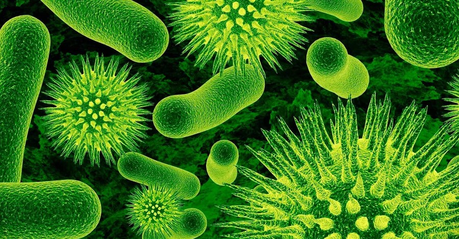 К 2050 году бактерии будут убивать больше людей, чем рак