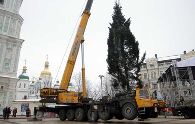 В Киеве главной елке страны 