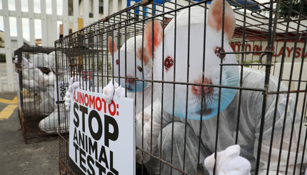 Активисты PETA против испытаний на крысах