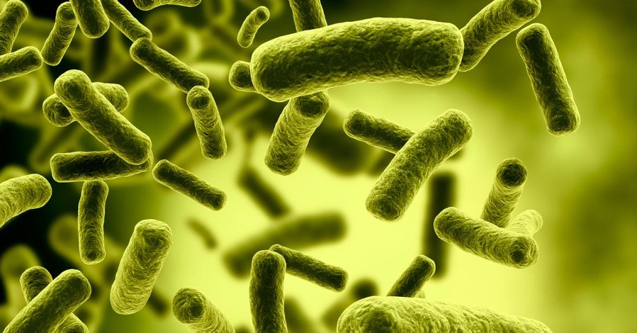 Ученые обнаружили супербактерии 