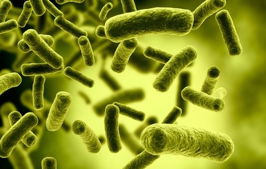 Ученые обнаружили супербактерии 