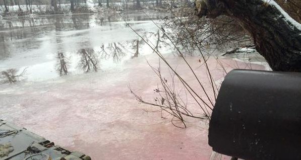 В Киевской области в реку слили опасные химикаты