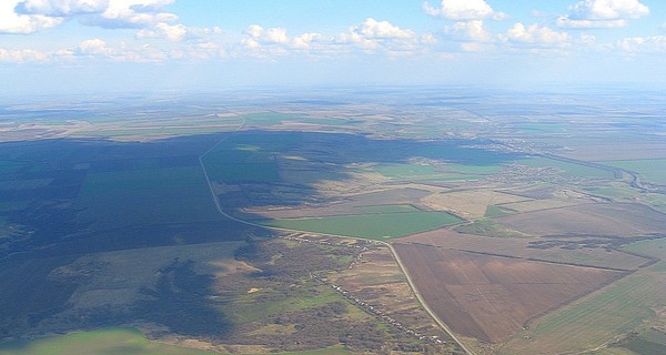 В Луганской области найдено  