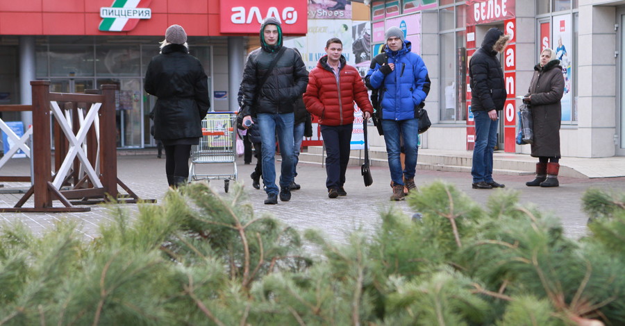 Привозные елки в Харькове дешевле местных