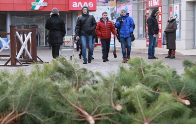 Привозные елки в Харькове дешевле местных