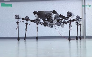 Инженеры создали робота-муравья