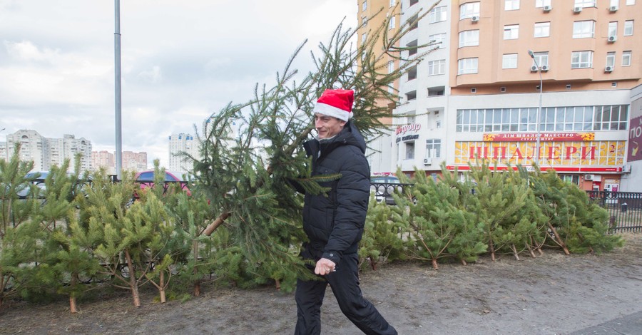 Продавцы елок в Киеве: даже по 60 гривен их никто не покупает