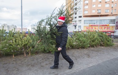 Продавцы елок в Киеве: даже по 60 гривен их никто не покупает